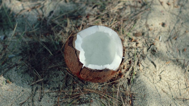 Video Reference: Coconut, Rock