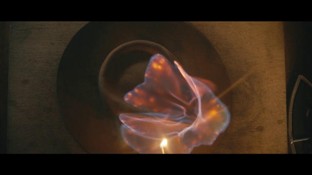 Video Reference: Light, Organism, Mouth, Photography, Flesh, Space, Heat, Macro photography, Darkness, Ear