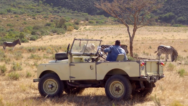 Video Reference: Vehicle, Car, Safari, Off-road vehicle, Jeep, Off-roading, Jeep cj, Adventure, Wildlife