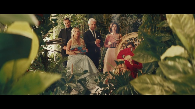 Video Reference: Photograph, Adaptation, Organism, Fun, Tree, Photography, Event, Tradition