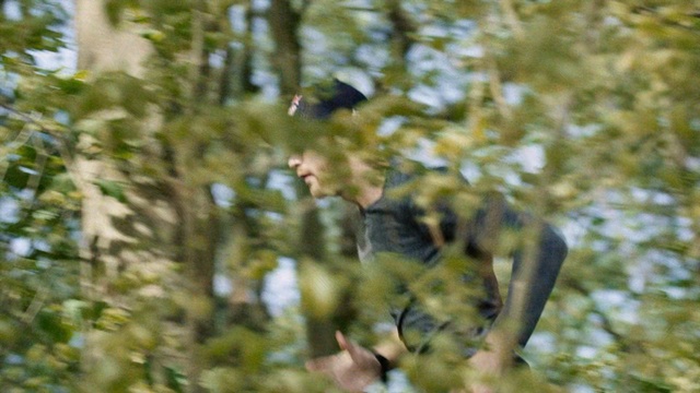 Video Reference: Nature, Tree, Branch, Plant, Grass, Wildlife, Forest