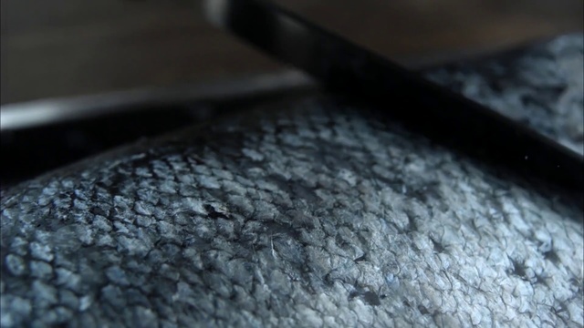 Video Reference: Wood, Close-up, Floor, Metal, Indoor, Sitting, Keyboard, Cake, Piece, Table, Computer, Food, Close, Wooden, Laying, Black, Laptop, Bird, Mouse, Cat, White, Vegetable