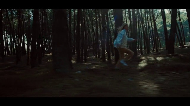 Video Reference: Woodland, Nature, Forest, Natural environment, Tree, Light, Wilderness, Darkness, Biome, Sunlight