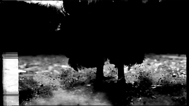 Video Reference: Black, Photograph, Water, Black-and-white, Monochrome photography, Monochrome, Photography, Darkness, Stock photography, Font