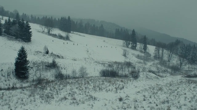 Video Reference: Snow, Winter, Atmospheric phenomenon, Geological phenomenon, Hill station, Freezing, Frost, Tree, Winter storm, Terrain