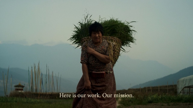 Video Reference: Atmospheric phenomenon, Tree, Adaptation, Sky, Photography, Happy, Landscape, Plant, Hill station, Person
