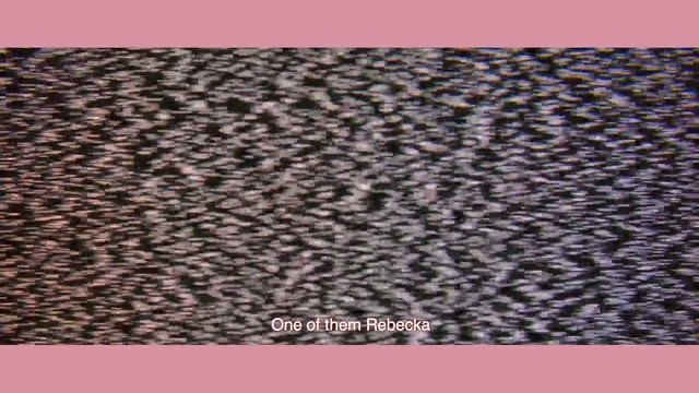 Video Reference: Brown, Pink, Fur, Pattern, Textile, Flooring