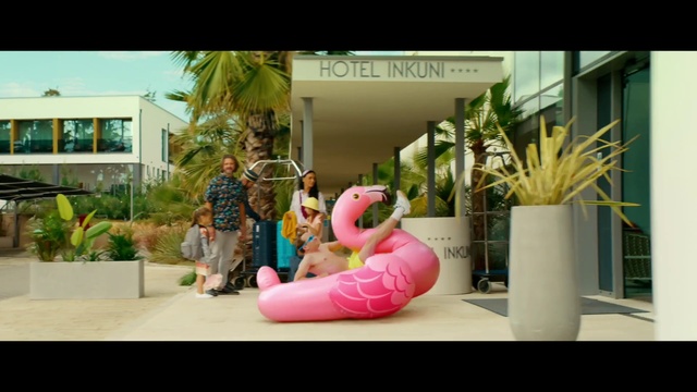 Video Reference: Plant, Building, Flowerpot, Toy, Grass, Leisure, Art, Event, Flower Arranging, Magenta