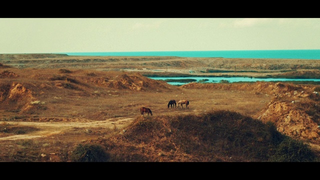 Video Reference: Nature, Sea, Natural environment, Coast, Ecoregion, Tundra, Landscape, Steppe, Shore, Plain