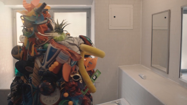 Video Reference: Room, Toy, Plant, House, Art, Person