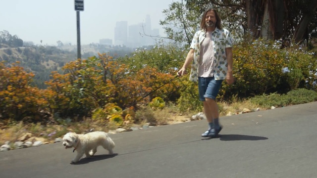 Video Reference: Dog, Canidae, Dog walking, Dog breed, Leash, Walking, Kintamani, Sporting Group, Carnivore, Road