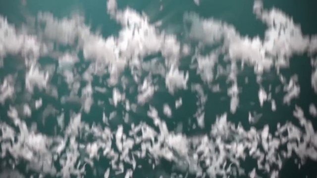 Video Reference: Sky, Cloud, Daytime, Water, Atmosphere, Cumulus, Meteorological phenomenon, Wave, Pattern, Sunlight