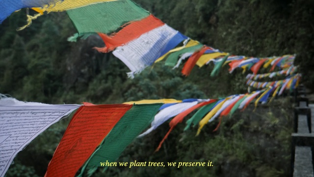 Video Reference: Textile, Adaptation, World, Art