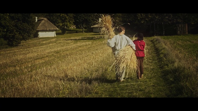 Video Reference: People in nature, Photograph, Grass, Grass family, Adaptation, Photography, Straw, Field, Happy, Hay