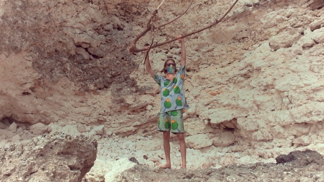 Video Reference: Soil, Organism, Tree, Geology, Fault, Plant, Rock