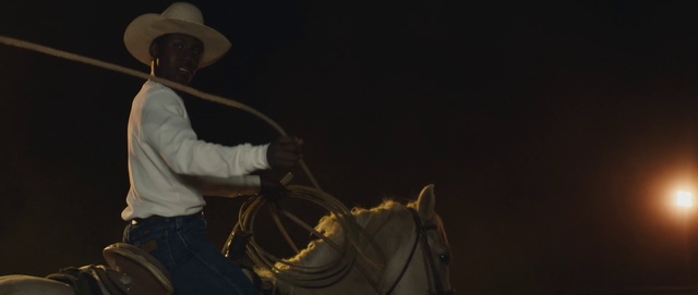 Video Reference: Horse, Cowboy, Rein, Cowboy hat, Horse tack, Landscape, Bridle, Rodeo