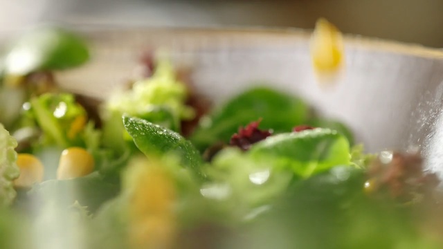 Video Reference: Food, Plant, Macro photography, Vegetable, Dish, Cuisine, Garnish, Flower, À la carte food, Ingredient