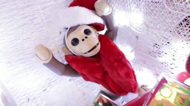 Video Reference: stuffed toy, toy, textile, plush, christmas, teddy bear, fictional character, christmas ornament, material, holiday, Person