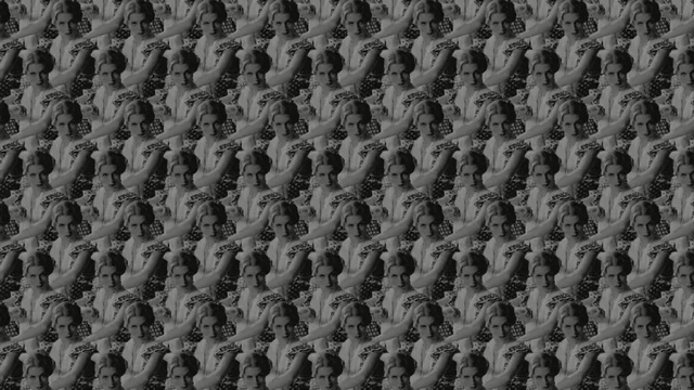 Video Reference: black and white, monochrome photography, monochrome, grass, pattern, tree