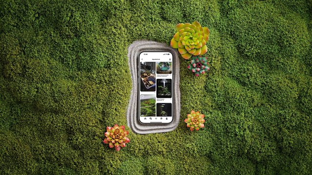 Video Reference: smartphone, overhead, moss, grass, succulents, plants, nature, terrarium, screen, mobile app, green background, top view, decorative, garden, still life