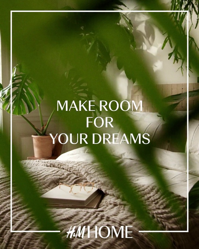 Video Reference: Plant, Terrestrial plant, Organism, Grass, Twig, Font, Woody plant, Wood, Tree, Rectangle