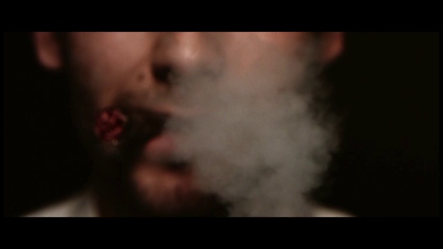 Video Reference: Face, Black, Nose, Mouth, Ear, Head, West highland white terrier, Cheek, Darkness, Eye