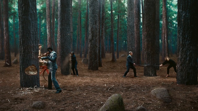 Video Reference: Woodland, Forest, Natural environment, Tree, Old-growth forest, Biome, Northern hardwood forest, Temperate coniferous forest, Spruce-fir forest, Jungle