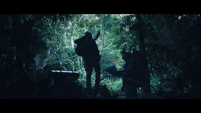 Video Reference: Black, Nature, Darkness, Green, Natural environment, Light, Forest, Tree, Organism, Photography