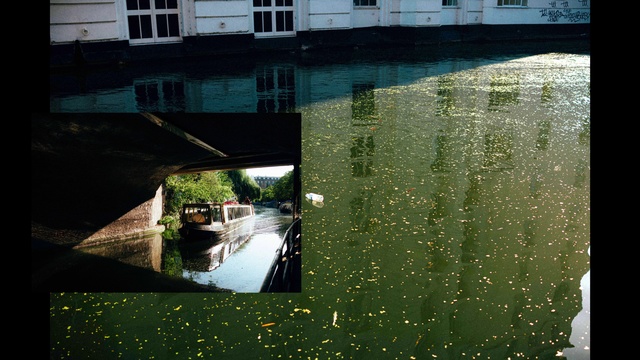 Video Reference: Water, Green, Water resources, Watercourse, Grass, Waterway, Architecture, Tree, Adaptation, Water feature