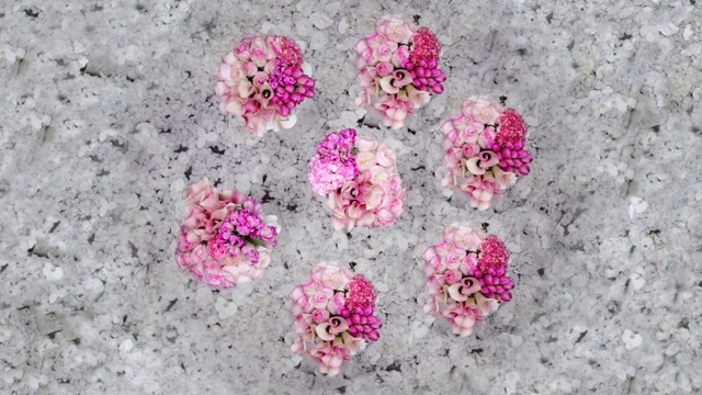 Video Reference: flower, pink, flora, plant, petal, magenta, spring, flowering plant, shrub, pink family