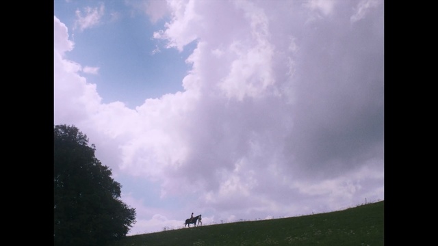 Video Reference: Sky, Cloud, Daytime, Nature, Green, Cumulus, Atmosphere, Atmospheric phenomenon, Tree, Horizon