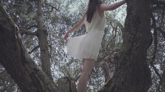 Video Reference: People in nature, Tree, Dress, Beauty, Branch, Fashion, Trunk, Woody plant, Leg, Photography