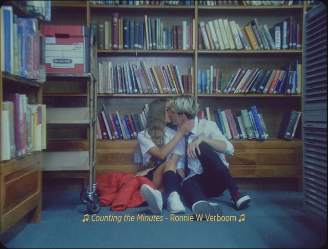 Video Reference: Library, Bookcase, Shelving, Snapshot, Public library, Bookselling, Furniture, Sitting, Shelf, Book