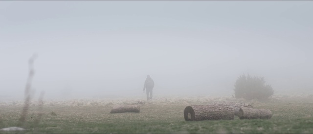 Video Reference: Mist, Fog, Atmospheric phenomenon, Haze, Sky, Atmosphere, Morning, Grassland, Grass, Tree