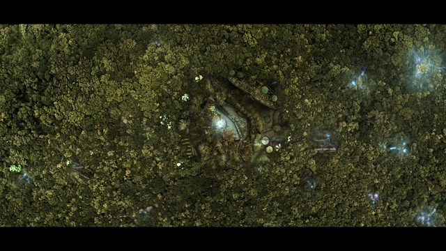 Video Reference: nature, green, night, screenshot, atmosphere, organism, biome, darkness, grass, water