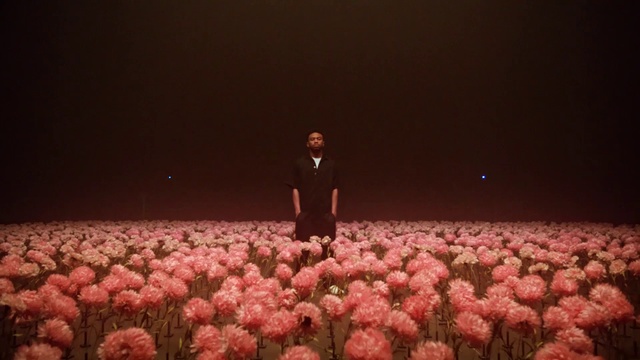 Video Reference: Pink, Petal, Audience, Crowd, Performance, Fun, Plant, Font, Flower, Event