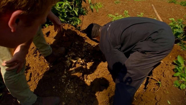 Video Reference: Soil, Adaptation, Leaf, Tree, Geology, Plant, Rock, Compost, Person