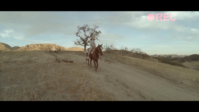 Video Reference: ecosystem, sky, mode of transport, ecoregion, steppe, wildlife, tree, landscape, savanna, cloud, Person