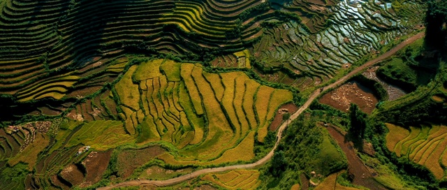 Video Reference: Terrace, Natural landscape, Landscape, Geology, Map, Ecoregion, Terrestrial plant, Geological phenomenon, Terrain