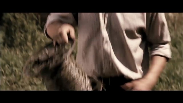 Video Reference: Fur, Wildlife, Headgear, Tree, Long hair