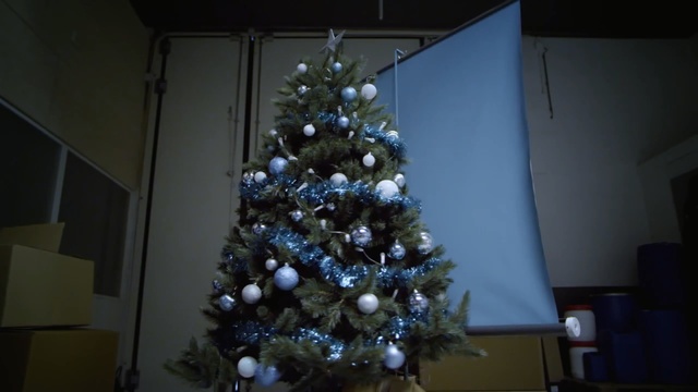 Video Reference: Christmas tree, Christmas, Tree, Christmas decoration, Christmas ornament, Spruce, Branch, Interior design, Woody plant, Colorado spruce