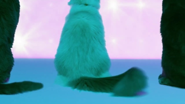 Video Reference: Green, Fur, Tail, Organism, Animation, Feather
