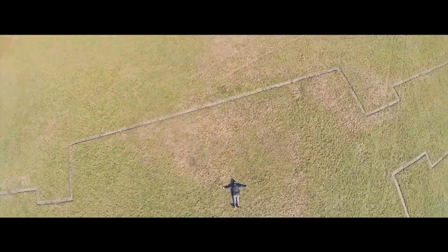 Video Reference: green, ecosystem, grass, aerial photography, field, atmosphere, text, grass family, photography, leaf