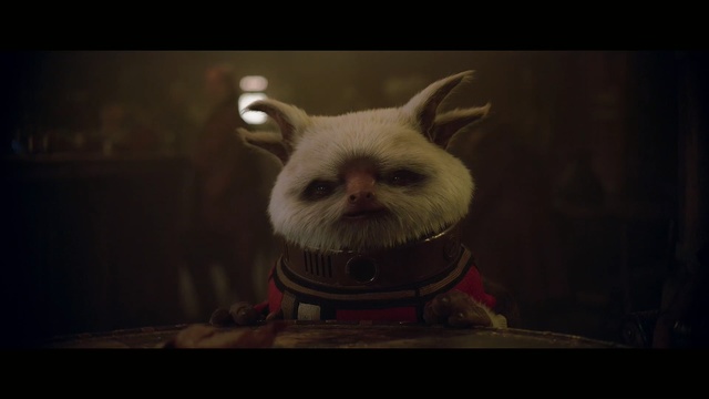 Video Reference: snout, darkness, whiskers, computer wallpaper, dog like mammal, screenshot, Person