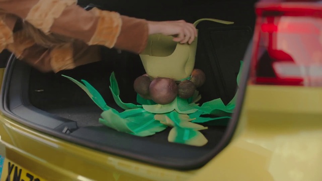 Video Reference: Play, Plant, Child, Toddler, Toy