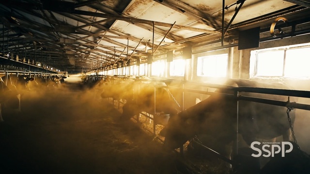 Video Reference: light, sky, sunlight, darkness, computer wallpaper