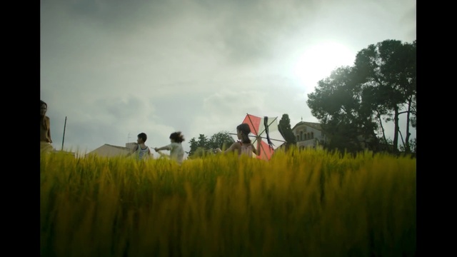 Video Reference: People in nature, Nature, Photograph, Yellow, Field, Grassland, Sky, Green, Grass, Meadow