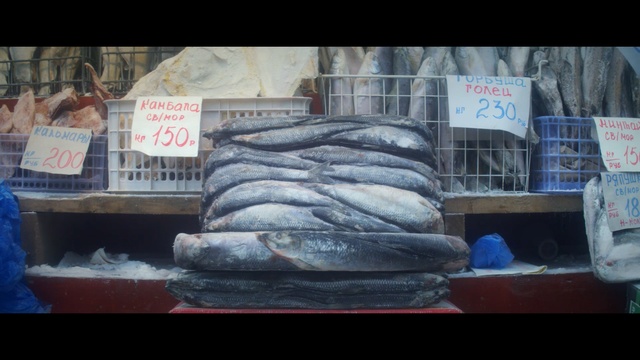 Video Reference: Fish, Font, Architecture, Rock, Fish, Art