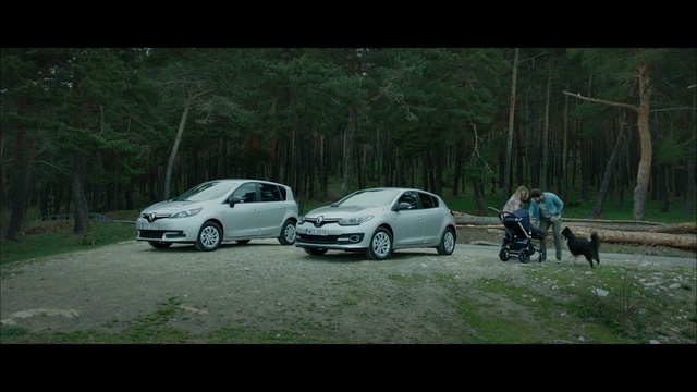 Video Reference: car, land vehicle, motor vehicle, vehicle, nature, road, woody plant, family car, automotive design, tree