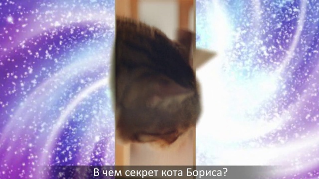 Video Reference: Face, Skin, Head, Purple, Nose, Violet, Forehead, Eye, Cheek, Human